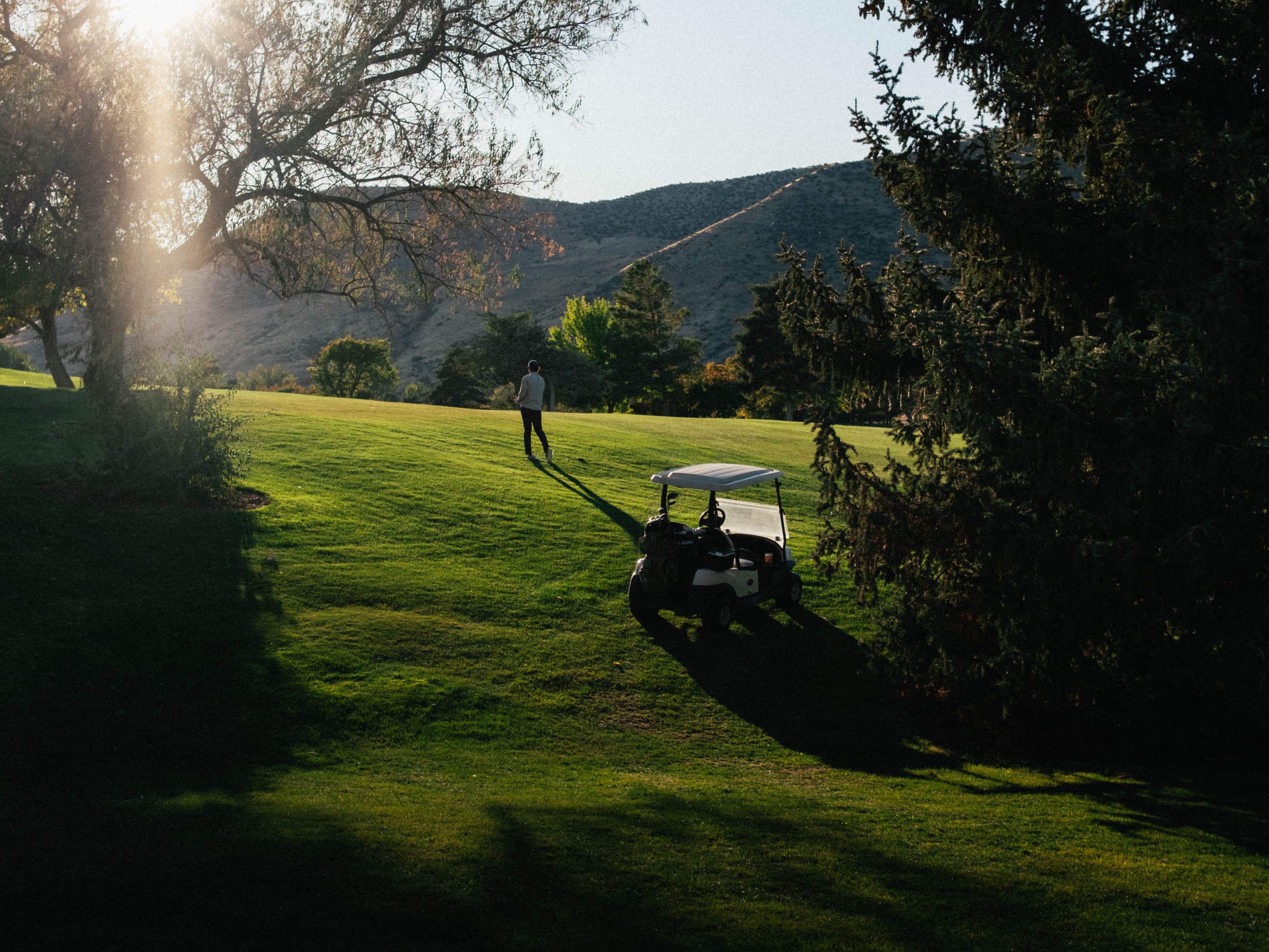Golfer and cart on a fairway at sunset